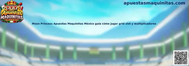 Guía visual de Moon Princess, con su cuadrícula de símbolos y elementos de juego