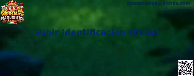 Guía para Subir Identificación Oficial en un proceso de verificación KYC